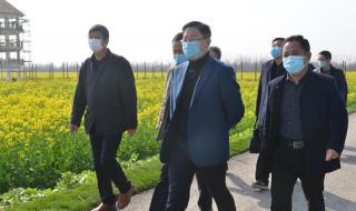 芜湖鸠江区 芜湖鸠江区